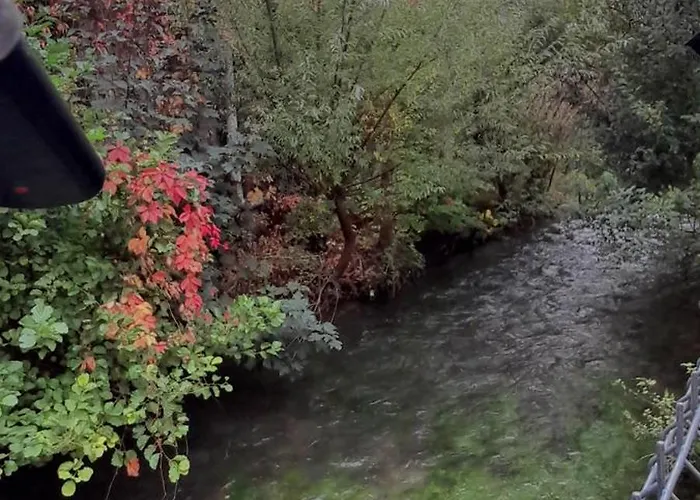 Location Meublee - En Centre-ville - La Maison En Brique *